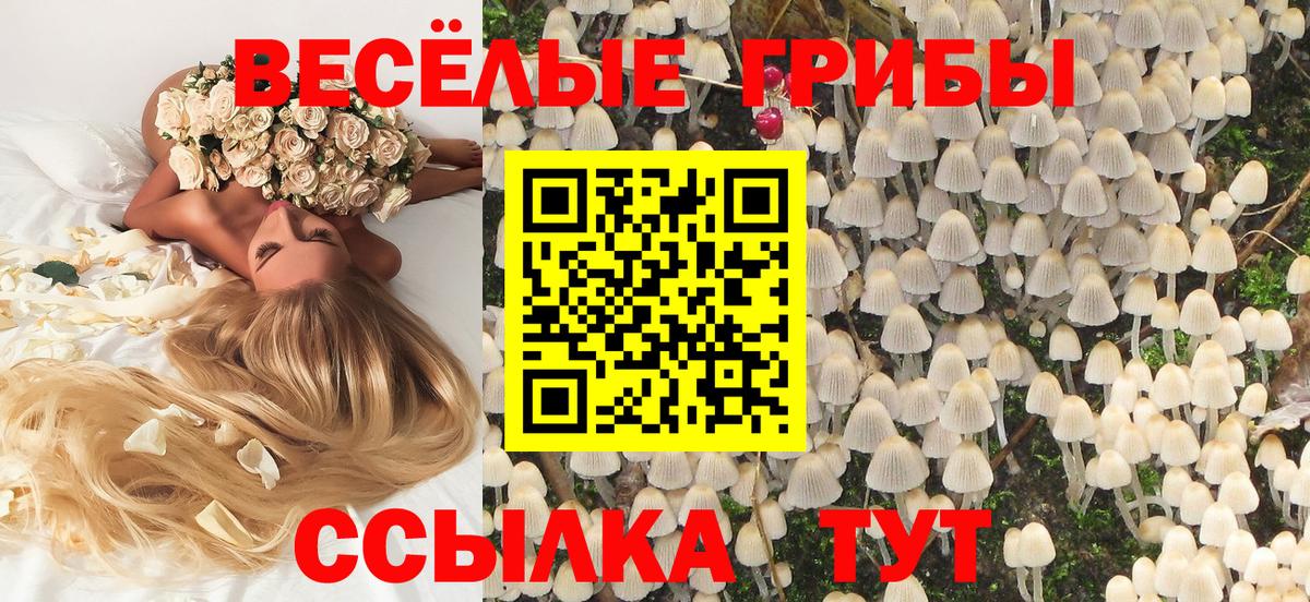 Псилоцибиновые грибы Magic Shrooms  Вход с VPN  Псилоцибиновые грибы Psilocybe  Брянск 