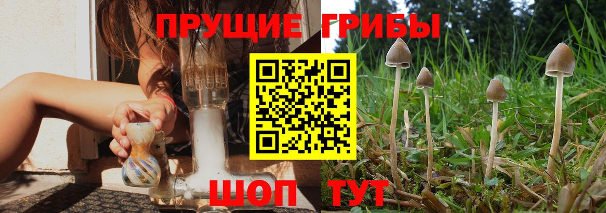 Галлюциногенные грибы мицелий Брянск
