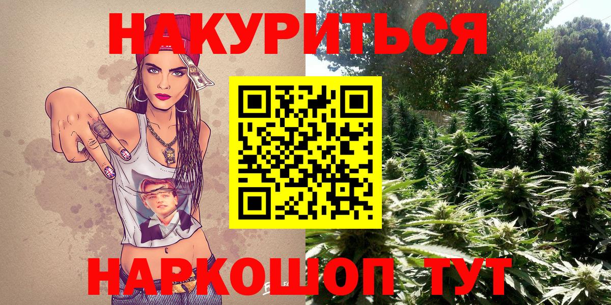 Конопля Ganja  МАРИХУАНА тримм  Брянск  Вход с VPN  Бошки Шишки план 